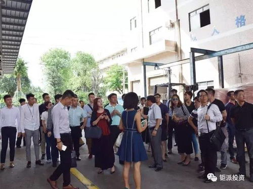 钜派投资集团 深耕财富管理，赋能资产配置的专业力量