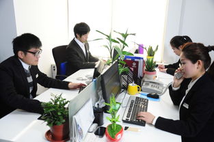 上海港茗投资管理 专业图景与战略布局